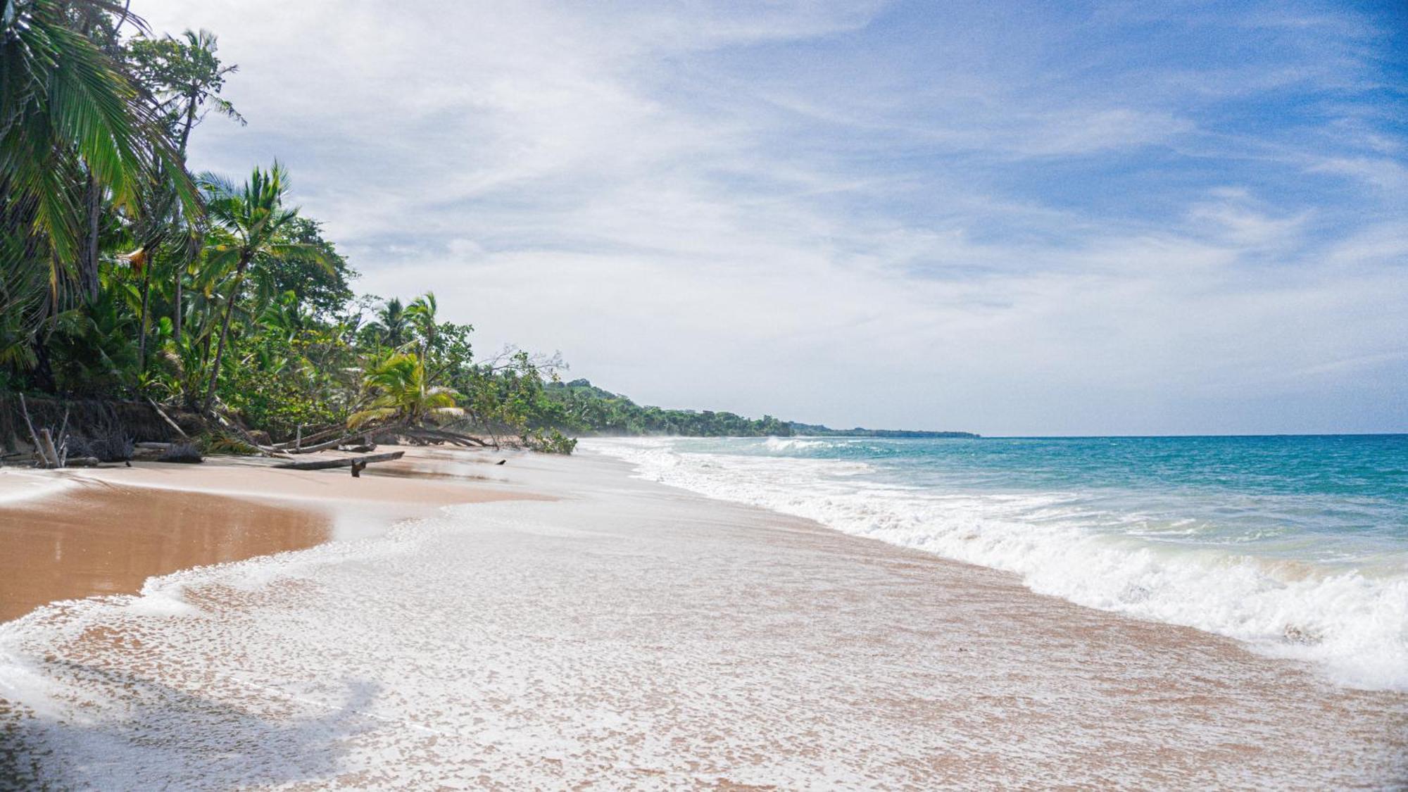 Bocas Garden Lodges Бокас-дель-Торо Экстерьер фото