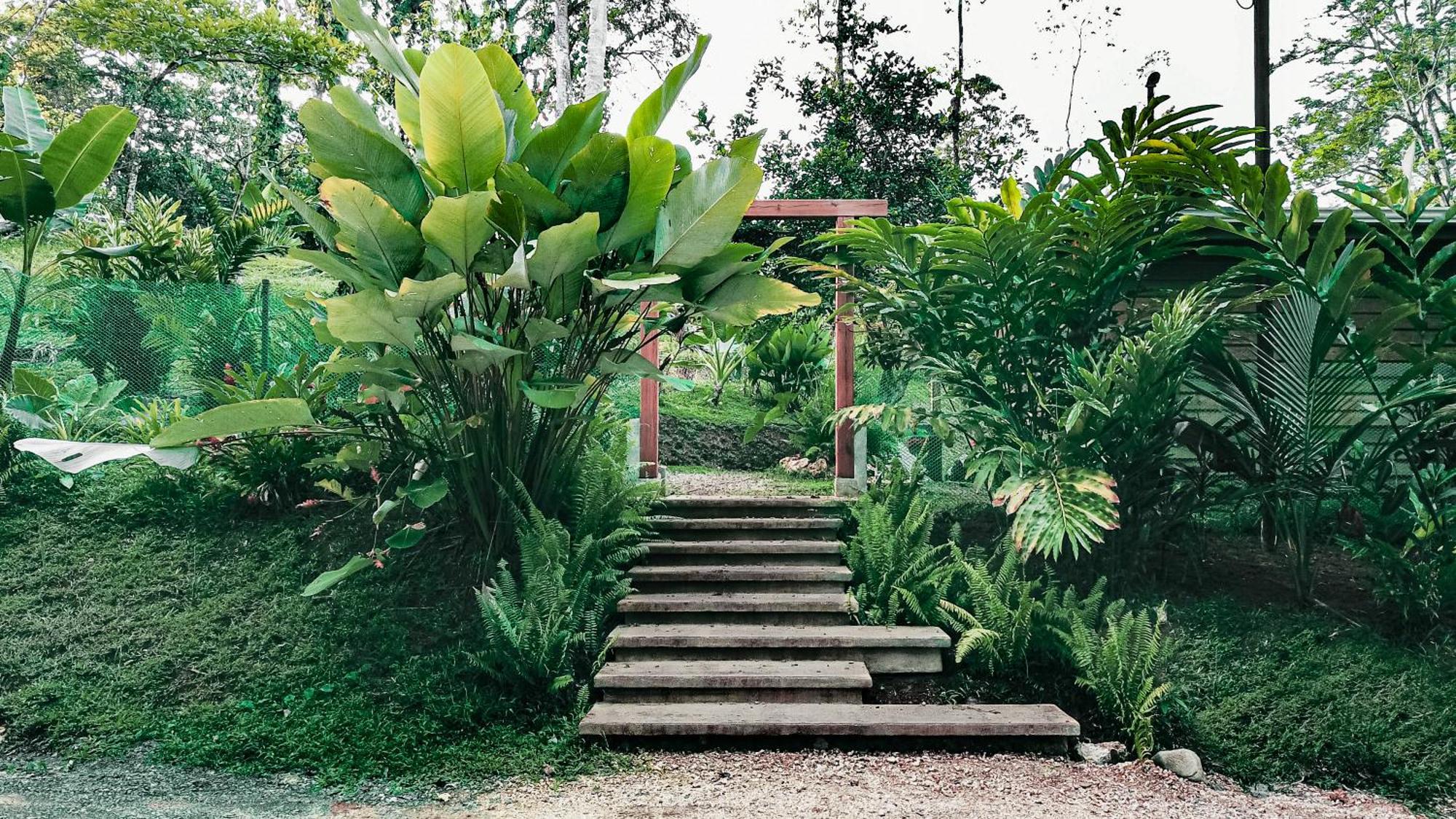 Bocas Garden Lodges Бокас-дель-Торо Экстерьер фото