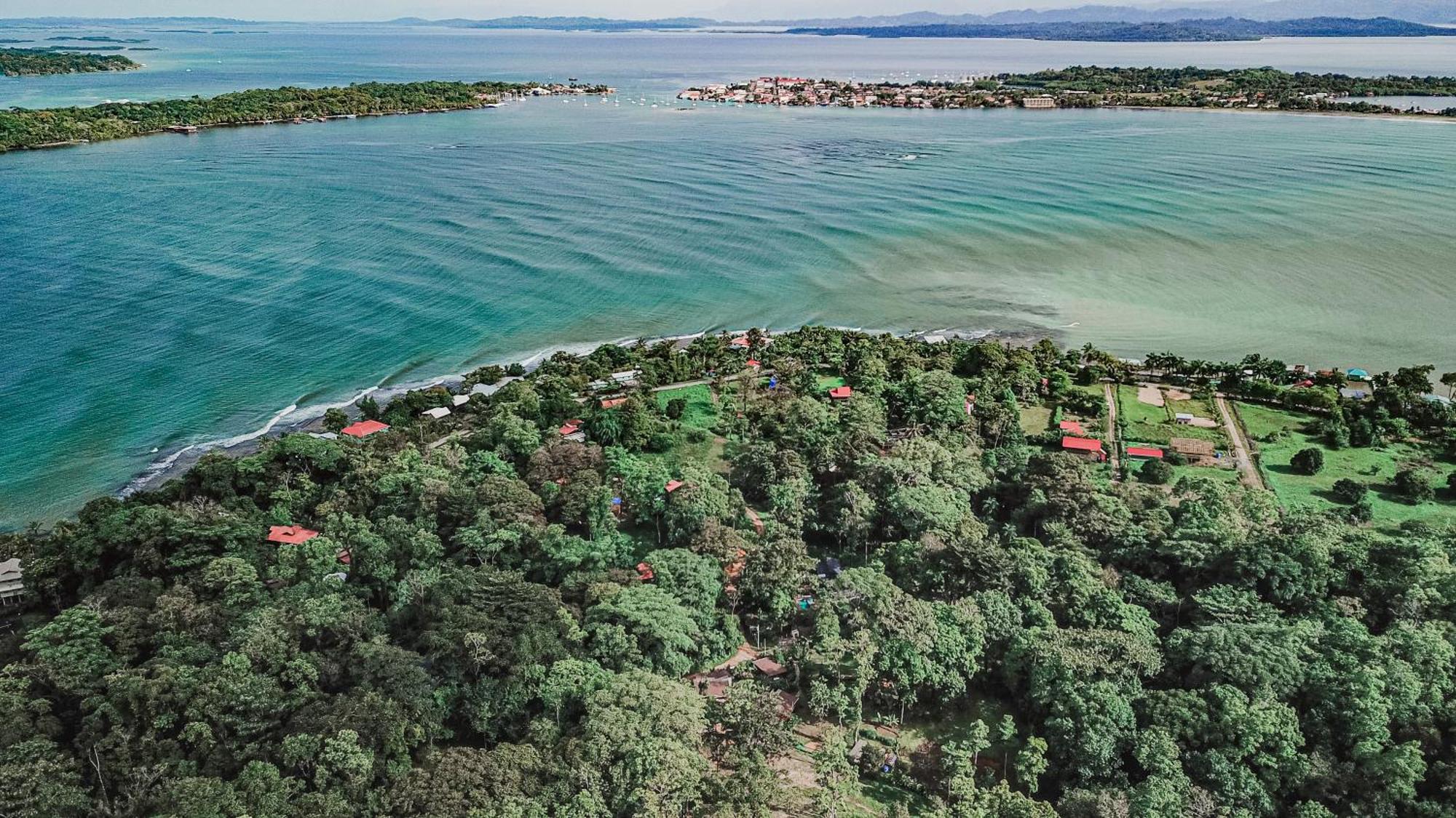 Bocas Garden Lodges Бокас-дель-Торо Экстерьер фото
