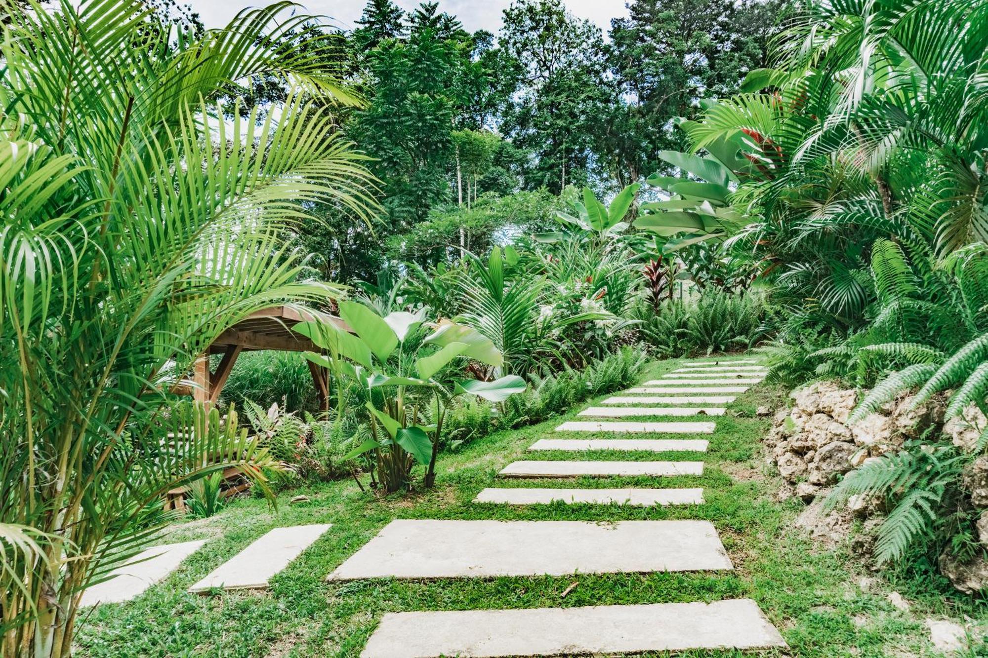 Bocas Garden Lodges Бокас-дель-Торо Экстерьер фото